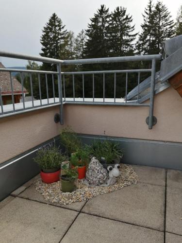Erkély/terasz, Appartment im schonen Joglland, ideal fur Familien in Szent Kathrein am Hauenstein Erkély/terasz, Appartment im schonen Joglland, ideal fur Familien in Szent Kathrein am Hauenstein