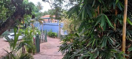 Shady transit hotel in Negombo Shady transit hotel in Negombo
