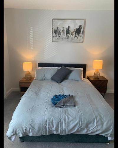 Beautiful Room in Apartment near Town Centre in Rugby Beautiful Room in Apartment near Town Centre in Rugby