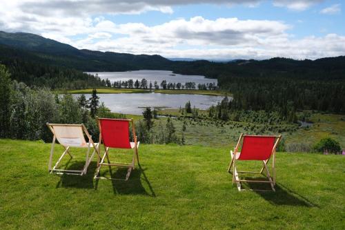 Surrounding environment, Austbø Hotell in Rauland Surrounding environment, Austbø Hotell in Rauland