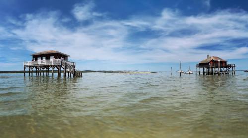 Közeli látványosságok, La Petite Suzette, à 2min à pied de la plage ! (La Petite Suzette, a 2min a pied de la plage !) in Lanton Közeli látványosságok, La Petite Suzette, à 2min à pied de la plage ! (La Petite Suzette, a 2min a pied de la plage !) in Lanton