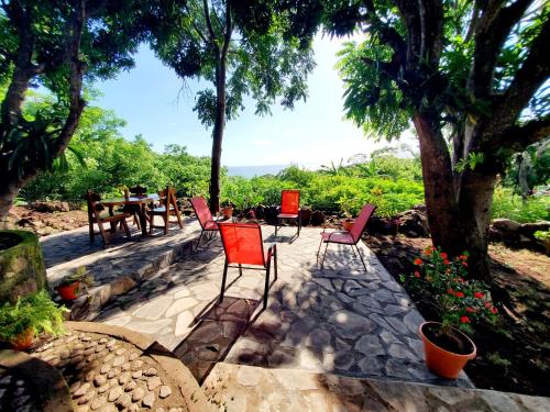 Vườn, The Jungle Lodge in Mérida Vườn, The Jungle Lodge in Mérida
