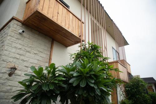 Palm Villas in Heir Palm Villas in Heir
