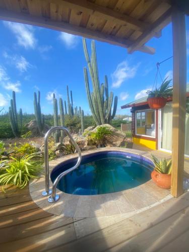 Cozy studio with private spa in Oranjestad Cozy studio with private spa in Oranjestad