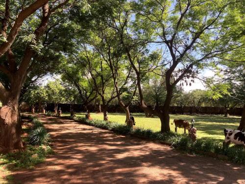 Haizum's Equestrian Centre in Eikenhof Haizum's Equestrian Centre in Eikenhof