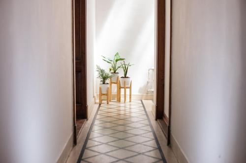 Facilities, Planta Alta BA in San Cristóbal Facilities, Planta Alta BA in San Cristóbal