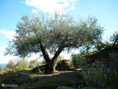 Casadipione in Gradoli Casadipione in Gradoli