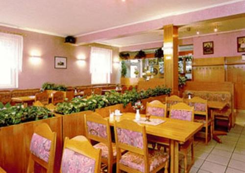 Étterem, Hotel Pelikan in Hamrniky Étterem, Hotel Pelikan in Hamrniky