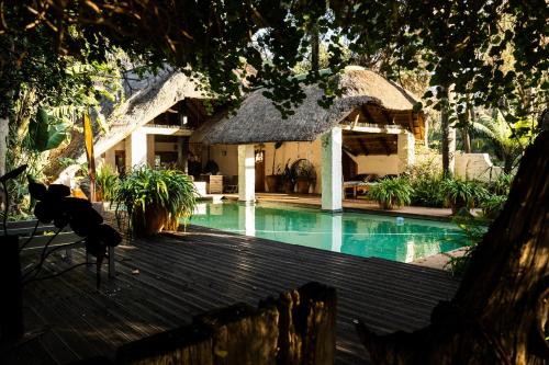 Piscina, Hakunamatata Lodge and Health Spa in Krugersdorp Piscina, Hakunamatata Lodge and Health Spa in Krugersdorp