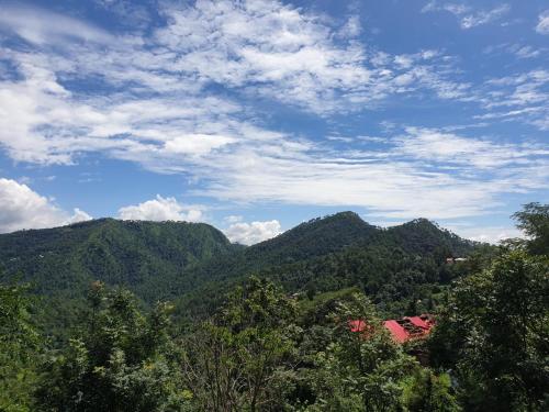 Sports and activities, Dhami House (Homestay) in Shimla Sports and activities, Dhami House (Homestay) in Shimla