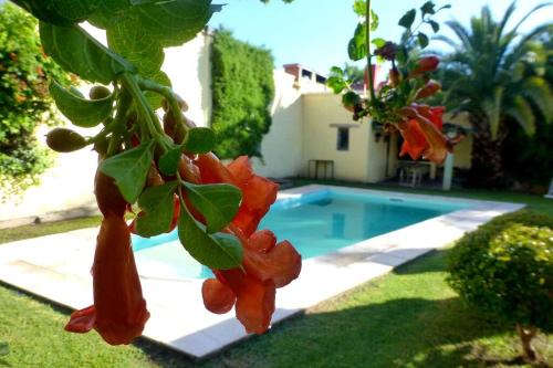 Casa con parrilla y piscina in Juana Koslay Casa con parrilla y piscina in Juana Koslay