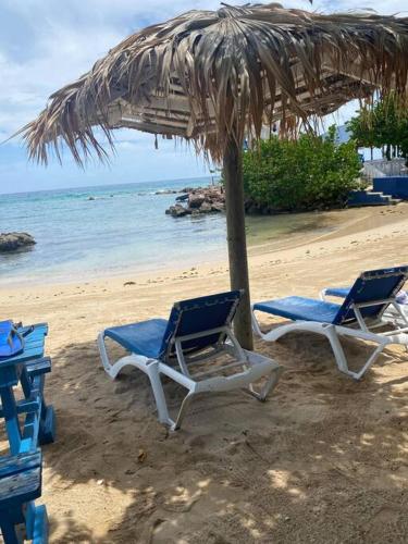 Beach, Lush Tropical apartment located in a 4-star resort in Runaway Bay Beach, Lush Tropical apartment located in a 4-star resort in Runaway Bay