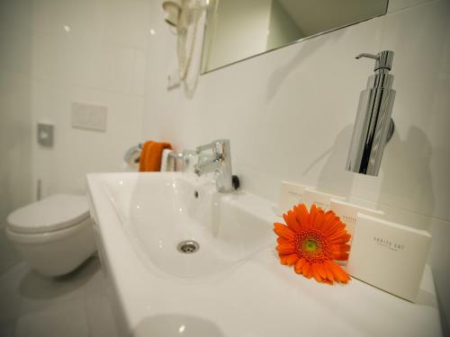 Baño, EA Business Hotel Jihlava in Jihlava Baño, EA Business Hotel Jihlava in Jihlava