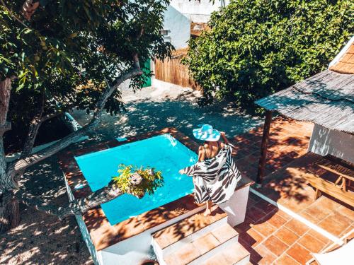 Cá Estamos ~ Hortacasa Portugal (Ca Estamos ~ Hortacasa Portugal) in ซานเตียโก โด คาเซม Cá Estamos ~ Hortacasa Portugal (Ca Estamos ~ Hortacasa Portugal) in ซานเตียโก โด คาเซม