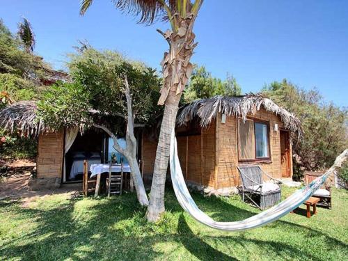 Hotel Las Tortugas