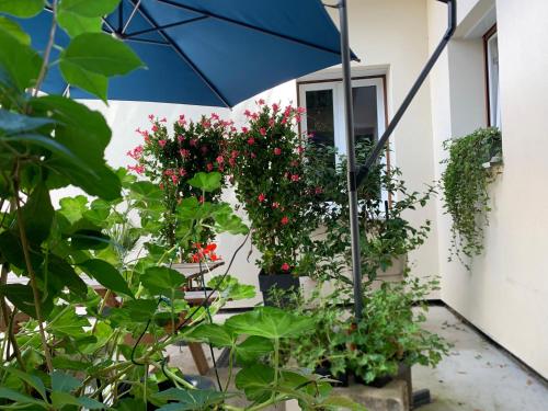 Chalet Cosy et Paisible cote Paris in Vitry-sur-Seine Chalet Cosy et Paisible cote Paris in Vitry-sur-Seine