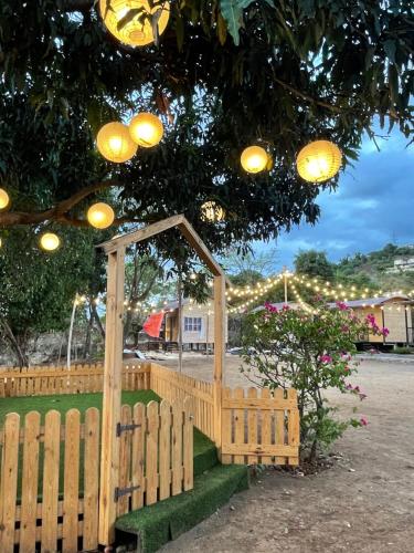 Garden, Bombay Camping Company, Pawna Lake Lonavala in Thakursai Garden, Bombay Camping Company, Pawna Lake Lonavala in Thakursai