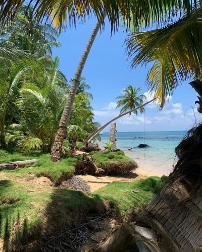 Strand, Little Corn ENSUEÑOS NATURAL RESERVE (Little Corn ENSUENOS NATURAL RESERVE) in Little Corn Island Strand, Little Corn ENSUEÑOS NATURAL RESERVE (Little Corn ENSUENOS NATURAL RESERVE) in Little Corn Island