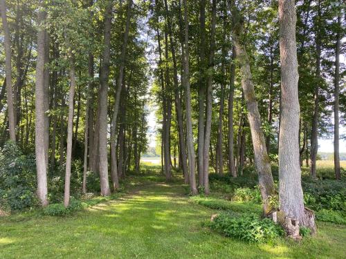 Grynnan in Ekero Grynnan in Ekero