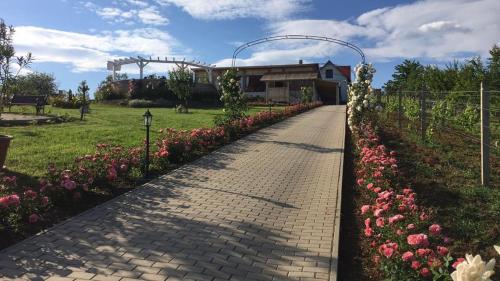 Merlot Borhotel es Latvanypince in Edelény Merlot Borhotel es Latvanypince in Edelény