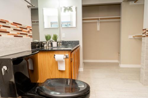 Kupaonica, Modern 3-bedroom home with indoor fireplace! in Plano (TX) Kupaonica, Modern 3-bedroom home with indoor fireplace! in Plano (TX)