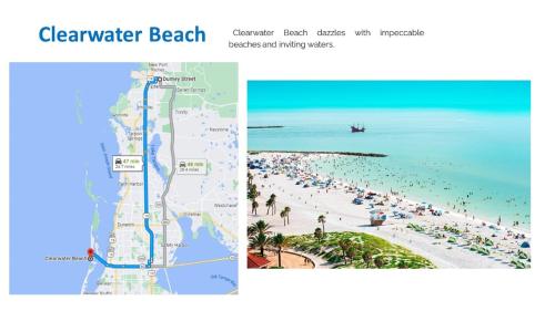 Beach, Cozy 3-bed home close to beautiful beaches. in Elfers Beach, Cozy 3-bed home close to beautiful beaches. in Elfers