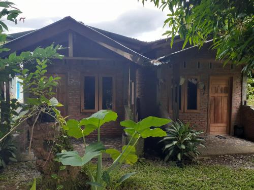 Jhony's Backpacker-Guest House in Bukit Lawang Jhony's Backpacker-Guest House in Bukit Lawang
