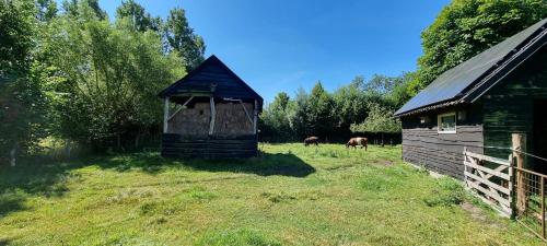 Yurt in Liempde Yurt in Liempde