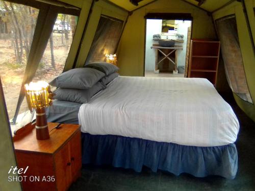 Warthogs Safari Camp in Kariba Warthogs Safari Camp in Kariba