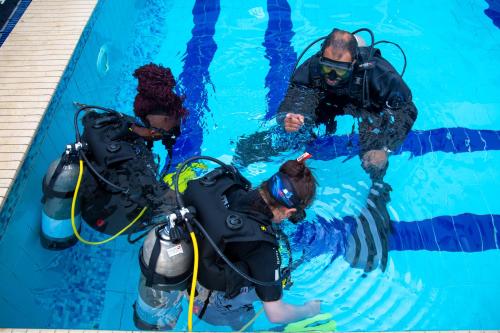 Sukan dan Aktiviti, Swiss Wellness Dive Resort in Hurghada Sukan dan Aktiviti, Swiss Wellness Dive Resort in Hurghada