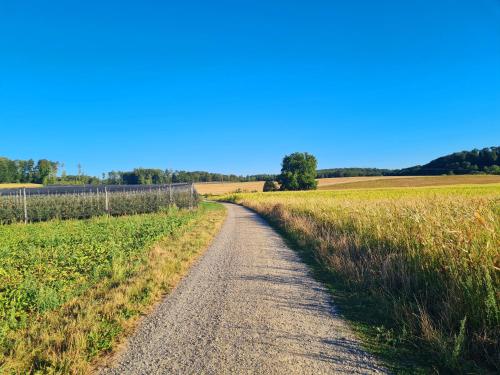 Ferienwohnung Rheinblick in Busingen -keine Monteure- in บูซิงเงินอัมฮอชร์ไฮน์ Ferienwohnung Rheinblick in Busingen -keine Monteure- in บูซิงเงินอัมฮอชร์ไฮน์