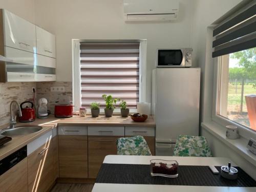 Palvelut, Arvisura Vendégházak family friendly transit apartments (Arvisura Vendeghazak family friendly transit apartments) in Domaszék Palvelut, Arvisura Vendégházak family friendly transit apartments (Arvisura Vendeghazak family friendly transit apartments) in Domaszék