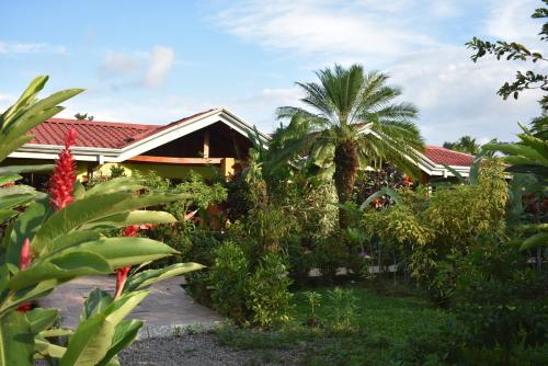 Hotel Roca Negra Del Arenal in La Fortuna Hotel Roca Negra Del Arenal in La Fortuna