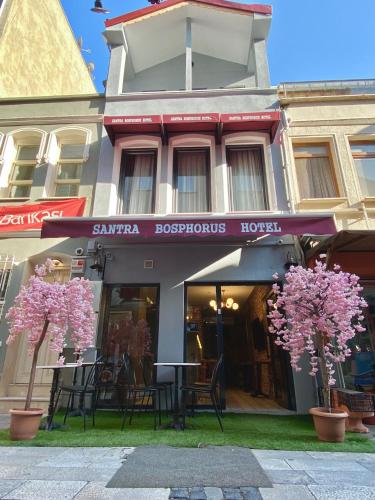 Santra Bosphorus Hotel - image 12