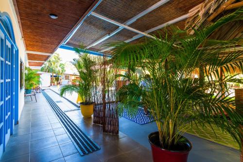 Vue extérieure, Hotel IBIZA Beach Boutique in Jaco Vue extérieure, Hotel IBIZA Beach Boutique in Jaco