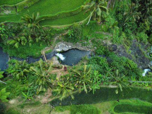 Friendly Homestay Lemukih in Singaraja Friendly Homestay Lemukih in Singaraja