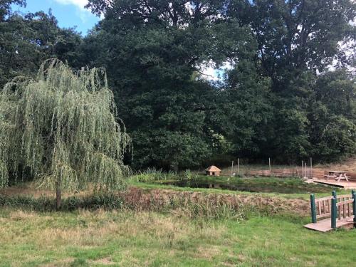 Garden Cottage, heated indoor pool, tennis court in Frensham Garden Cottage, heated indoor pool, tennis court in Frensham