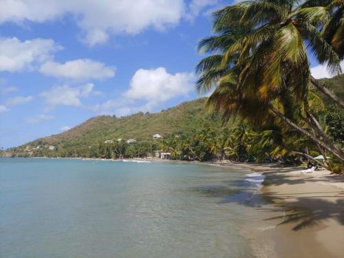 Juju's Cottage with magnificent views in Laborie Juju's Cottage with magnificent views in Laborie