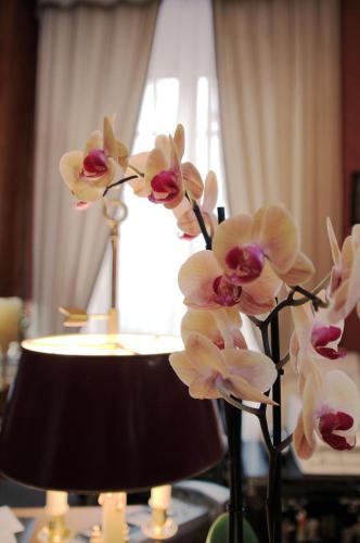 This photo about Logis Hotel Beau Site shared on HyHotel.com