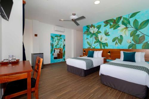 Plaza Luna Suites in Galapagos Plaza Luna Suites in Galapagos