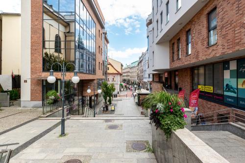 Навколишнє середовище, Apartament Prestige Centrum 32 in Бельсько-Бяла Навколишнє середовище, Apartament Prestige Centrum 32 in Бельсько-Бяла