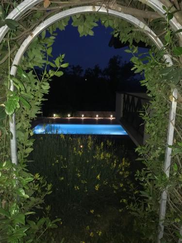 Swimming pool, La Paloma B&B di Charme in Carbognano Swimming pool, La Paloma B&B di Charme in Carbognano