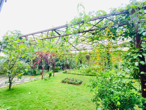 PaPa Coffee & Homestay in Phrong 1 PaPa Coffee & Homestay in Phrong 1