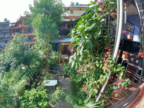Garden, HOTEL FORESTWAY Hostel & Backpackers in Pokhara Garden, HOTEL FORESTWAY Hostel & Backpackers in Pokhara