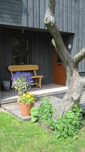 Bejárat, Viesu maja Zvilnis in Pavilosta Bejárat, Viesu maja Zvilnis in Pavilosta