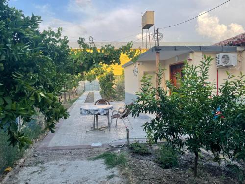Lovely spacious house with big garden in 愛爾巴桑 Lovely spacious house with big garden in 愛爾巴桑