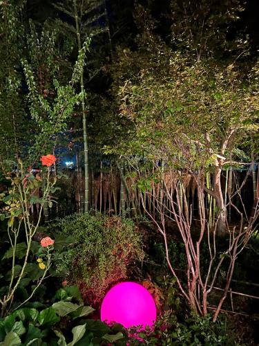 フクロウの御宿 in Yamanashi フクロウの御宿 in Yamanashi