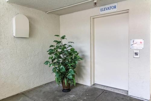 Facilities, Motel 6 Watsonville, CA - Monterey Area in Watsonville (CA) Facilities, Motel 6 Watsonville, CA - Monterey Area in Watsonville (CA)