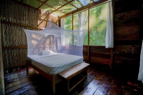 Amak Iquitos Ecolodge - All Inclusive in Indiana Amak Iquitos Ecolodge - All Inclusive in Indiana