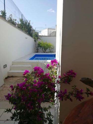 Swimming pool, Alle Volte Salento in Trepuzzi Swimming pool, Alle Volte Salento in Trepuzzi